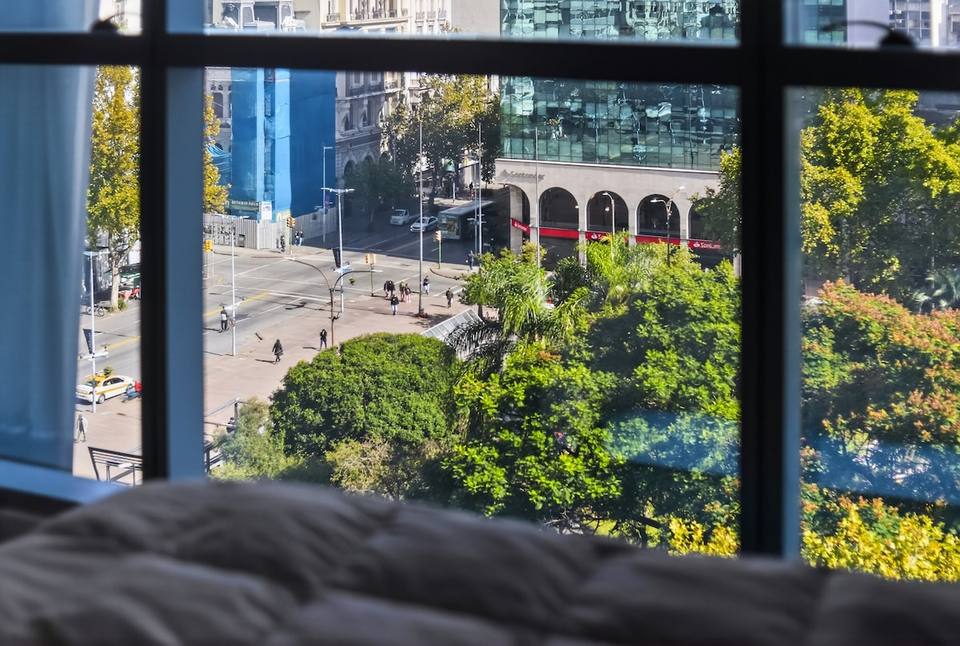 View of the tree-lined street from the window