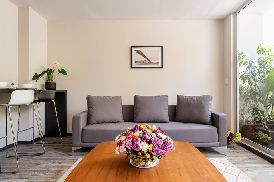 Living acogedor con luz natural