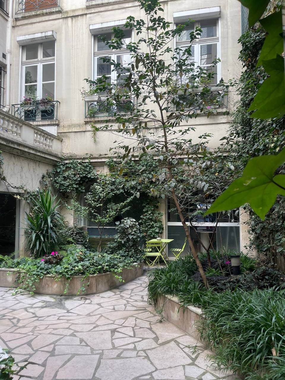 Moderno estudio a pasos de Notre-Dame