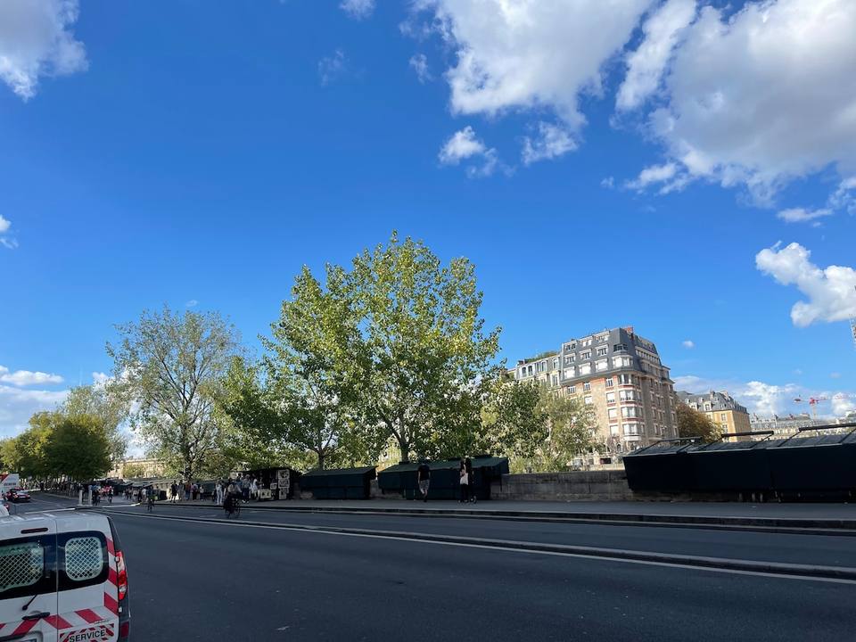 Moderno estudio a pasos de Notre-Dame