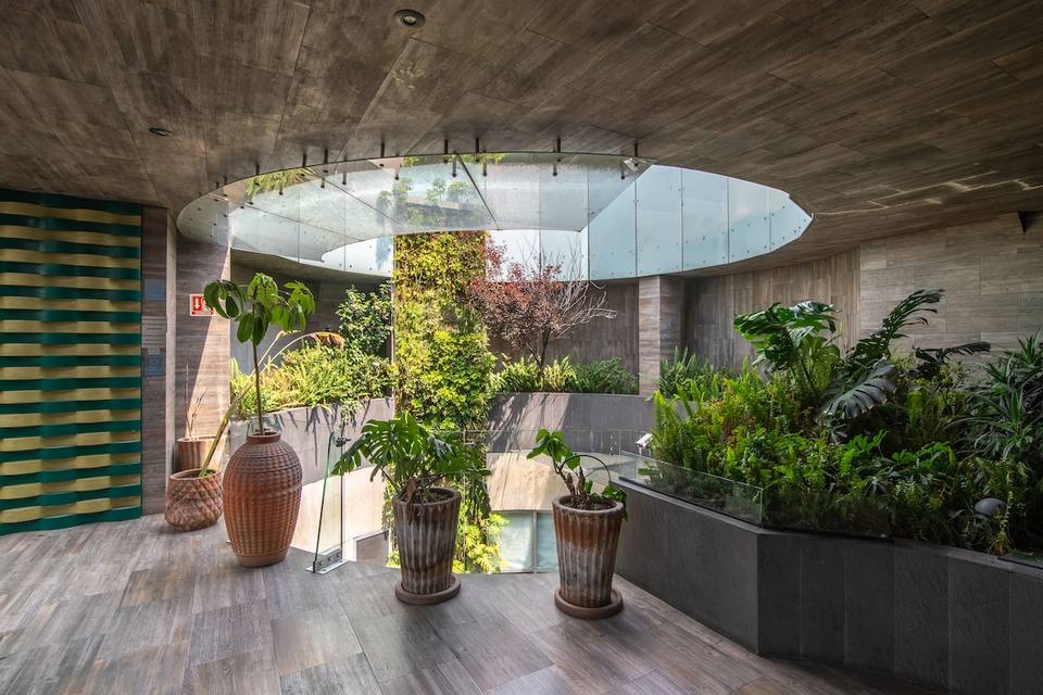 Suite Boutique de Lujo en el Corazón de Polanco