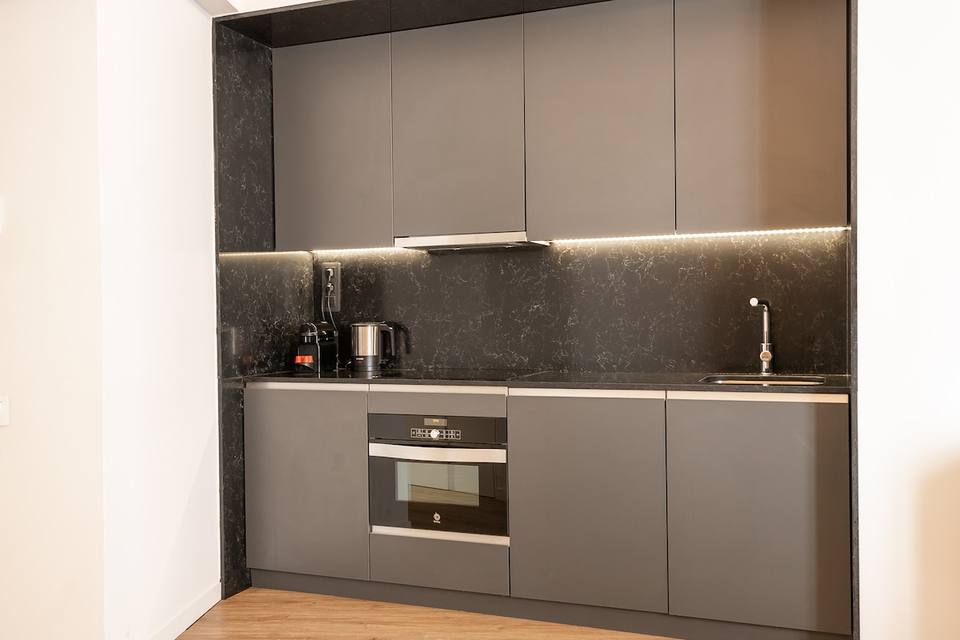 Fully integrated modern minimalist kitchen