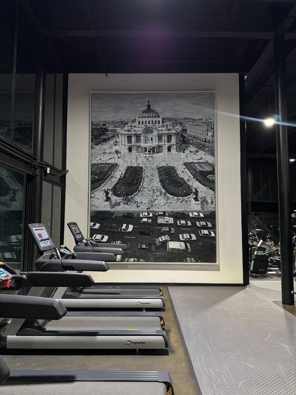 Gimnasio profesional del edificio