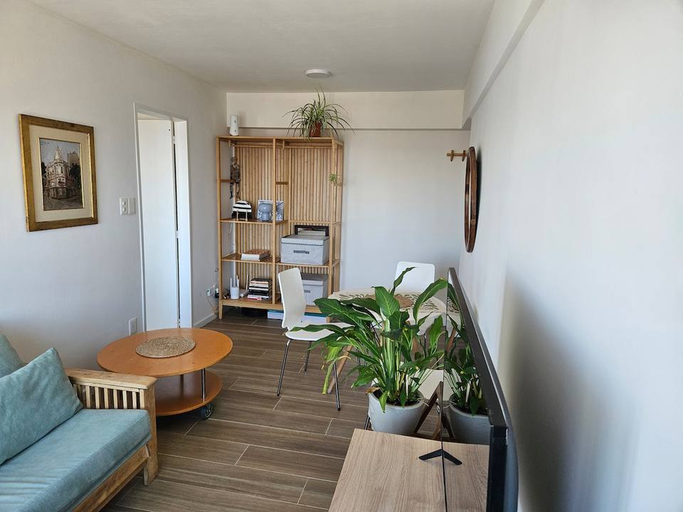 Living con sillón, estantería y planta grande